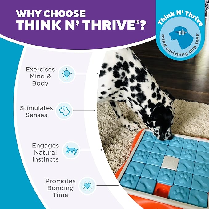 Outward Hound by Nina Ottosson Challenge Slider – Interactive Dog Treat Puzzle Enrichment Toy, Level 3 Advanced