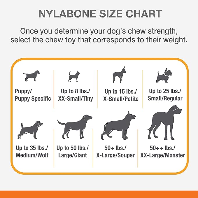 Nylabone Original Bone Power Chew Toy for Dogs, Durable Dog Toys for Aggressive Chewers, Flavor Frenzy Funnel Cake & Shish Kabob Flavor, Large - Up to 50 lbs, 2 Pack