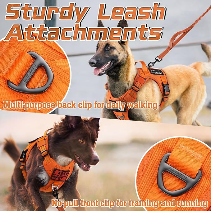 rabbitgoo Tactical Dog Harness for Small Dogs, No Pull Military Service Vest with Handle & Molle, Easy Control for Training Walking, Adjustable Reflective Straps, Orange, S
