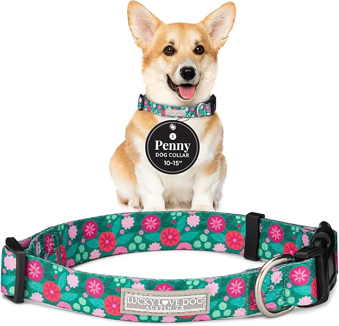 Lucky Love Dog - Adjustable Dog Collar with Easy Click Buckle for Small Dogs, Durable, & Comfortable for Male & Female Dogs, Pet Collar for Puppies & Adult Ones - Penny, Small