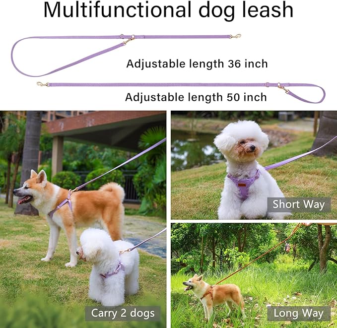 CHEDE No Pull Puppy Harness and Multifunction Dog Leash Set- 8 Colors Soft Adjustable No Choke Escape Proof Cute,Lightweight Pet Vest Harness for Small and Medium Dog (S, Purple)