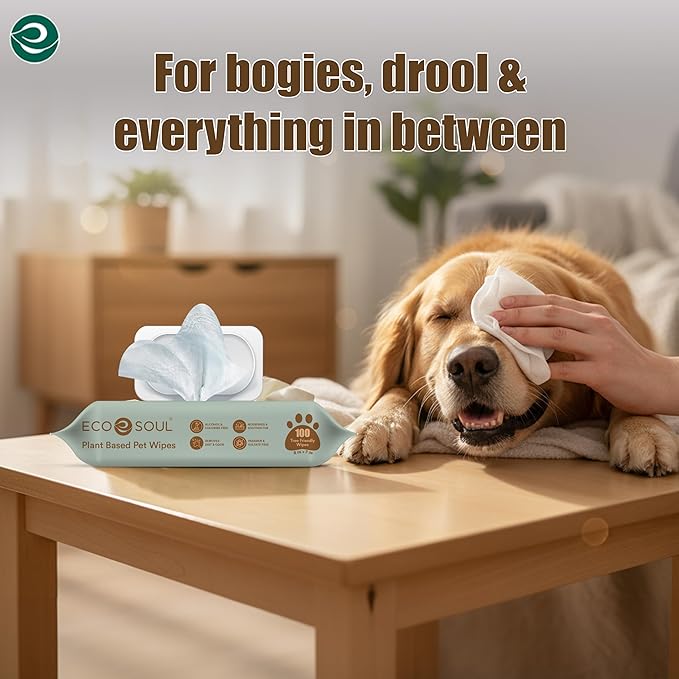ECO SOUL Pet Wipes for Dogs & Cats, Unscented Large Cleaning Wipes with Aloe & Glycerin | Alcohol & Chlorine Free | Pack of 1 (100 Wipes) (Pack of 4)