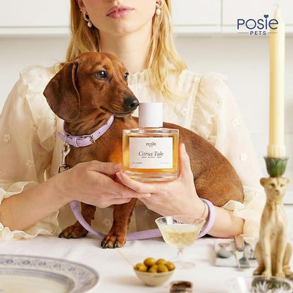 Posie Pets Dog Perfume Spray Long Lasting 4-8 Hours - Water-Based, Vegan Cologne - Luxury, Alcohol-Free Grooming Deodorizer for Dogs with Orange Blossom, Lavender, Vanilla - Citrus Tale, 100ml