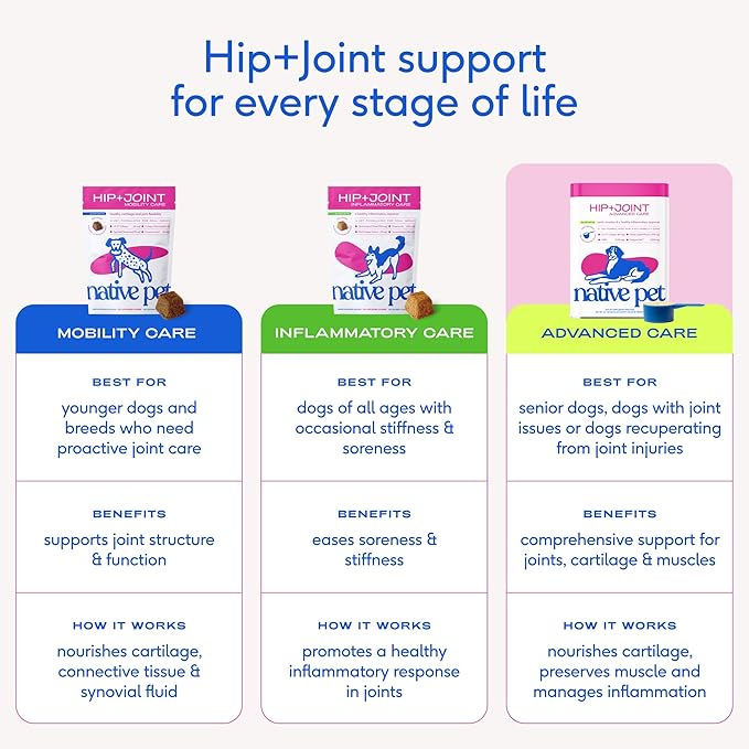 Native Pet Advanced Care - Hip & Joint Supplement for Dogs - Supports Joints, Cartilage, Muscles & Anti-Inflammatory with HMB, UC-II Collagen, Green Lipped Mussel & Hyaluronic Acid - 30 Scoops