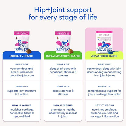 Native Pet Advanced Care - Hip & Joint Supplement for Dogs - Supports Joints, Cartilage, Muscles & Anti-Inflammatory with HMB, UC-II Collagen, Green Lipped Mussel & Hyaluronic Acid - 30 Scoops