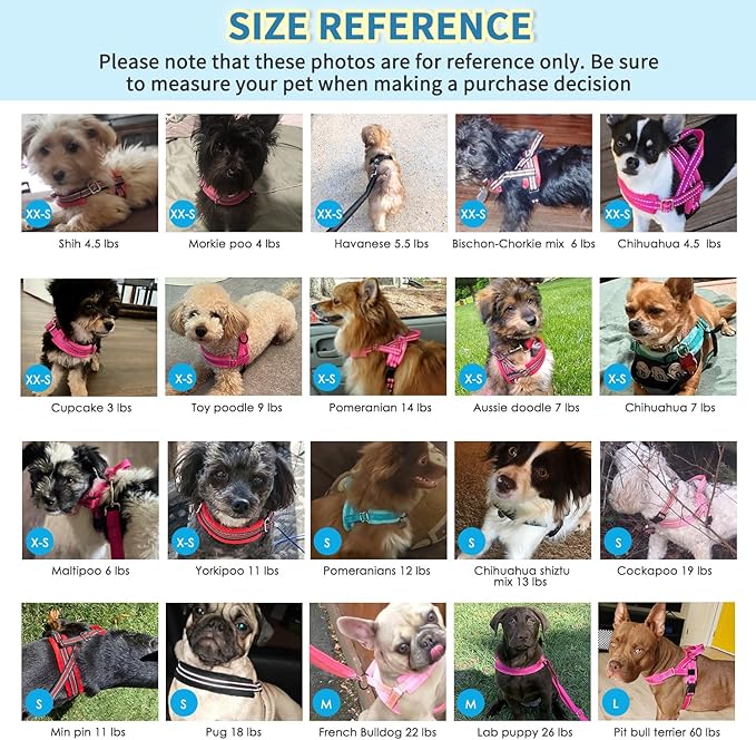 Lukovee No Pull Dog Harness and Leash Set, Soft Padded Small Dog Harness, Neck & Chest Adjustable Reflective Vest Puppy Harness with 4ft Lightweight Anti-Twist Dog Leash for Small Dogs (S, Fuschia)
