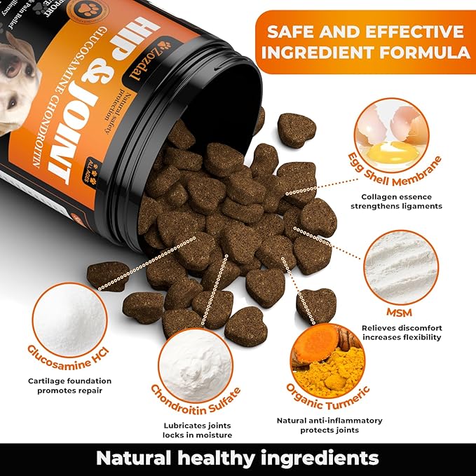 Joint Supplement for Dogs, 180 Chicken Flavor Chews, Glucosamine Chondroitin with MSM, Turmeric & Green Lipped Mussel, for Large Breed & Senior Dogs, Hip & Joint Pain Relief and Health Support