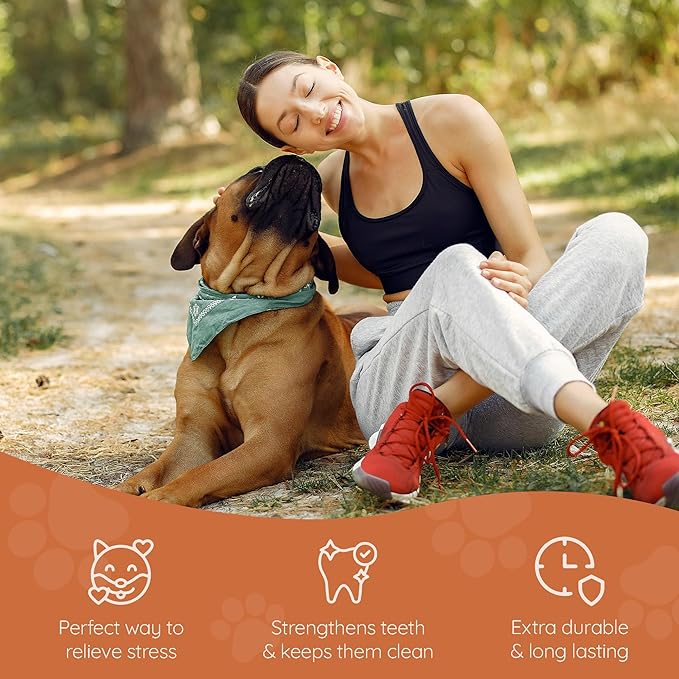 Wildfang® Briar Wood Chewing Root, Large - Splinter Free Wood Dog Chew Toys for Aggressive Chewer, Odorless Natural Teething Toys Dogs Dental Health, Healthy Gums (for Dogs 55-99 lbs), Pack of 3
