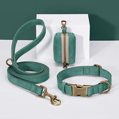 Didog Soft PU Leather Dog Collar, Stylish Quick Released Dog Collars for Small Dogs, Easy Clean Adjustable Pet Collar for Daily Walking, Green, S Fit 10-16" Neck