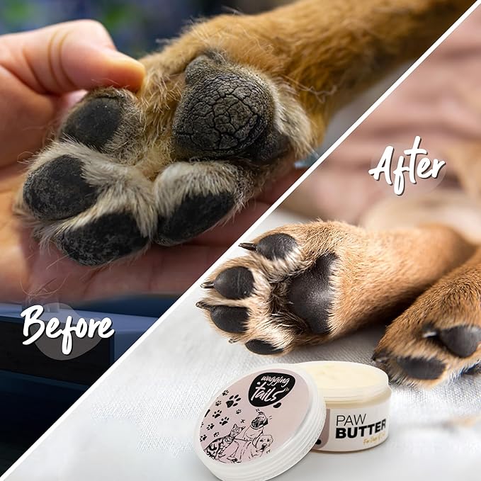 Wagging Tails 6-in-1 Paw Butter for Dogs & Cats, 1.76 fl oz Pack of 4 Turmeric & Honey-Infused Lick-Safe Balm | Relieves Elbow & Paw Discomfort, Repairs Cracks, Moisturizes Pads & Softens Snouts