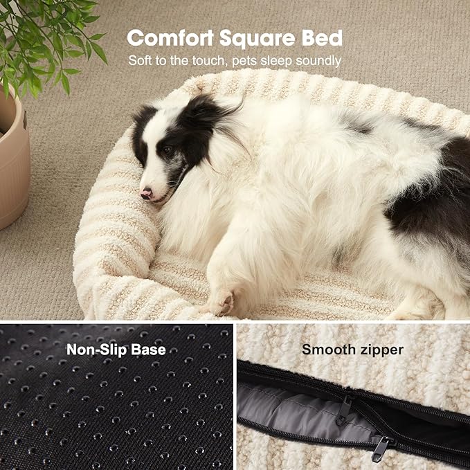 MIXJOY Dog Beds for Small Dogs Cats, Washable Dog Bed with Removable Cover, Soft Calming Cat Bed for Indoor Cats, Rectangle Pet Sofa Bed for Puppy Kitty, Anti-Slip Bottom,20"x19"x6", White