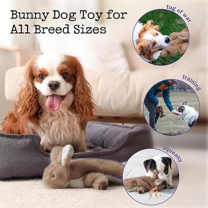 Fuzzwoof No-Stuffing Bunny Squeaky Dog Toy, Cute Plush Puppy Teething Toy to Keep Them Busy, Rabbit Interactive Tug of War & Dental Chew for Small Medium Large Dogs