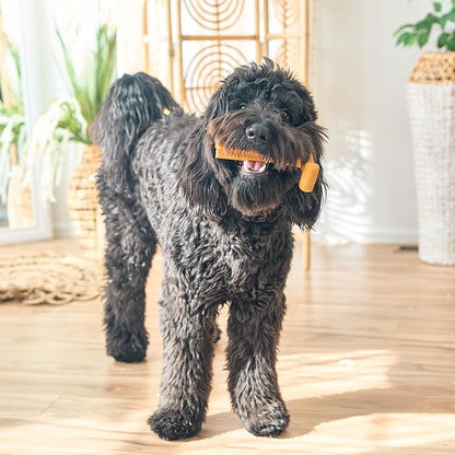 SPOT Bam-Bones Plus T Bone - Bamboo Fiber & Nylon, Durable Long Lasting Dog Chew for Aggressive Chewers – Toy for Dogs & Puppies Under 90lbs, Non-Splintering, 7in, Allergen Free Peanut Butter Flavor