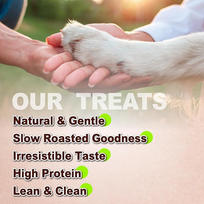 A Freschi srl Chicken Jerky for Dog, All Natural Dog Treat, High-Protein, Healthy & Easily Digestible, Grain-Free Puppy Chews, Training & Rewards Dog Snacks, Chicken Fillet Jerky, 16 oz Pack