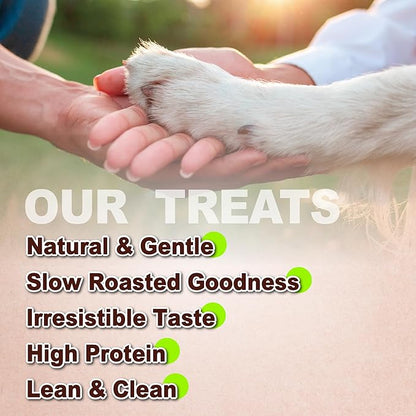 A Freschi srl Chicken Jerky for Dog, All Natural Dog Treat, High-Protein, Healthy & Easily Digestible, Grain-Free Puppy Chews, Training & Rewards Dog Snacks, Chicken Fillet Jerky, 16 oz Pack