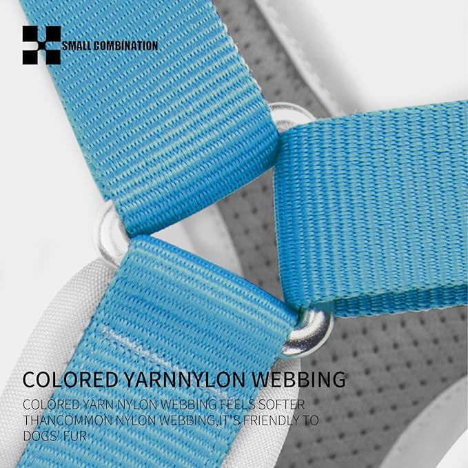 Adjustable Dog Harness with Handle, Padded Comfort,Small, Medium and Large Dogs (Blue, M)