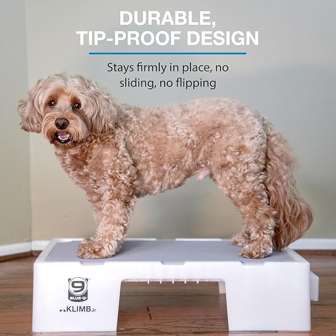 Blue-9 KLIMB Jr. Professionally Designed Dog Training Platform and DIY Guide for Behavior Basics, Made in The USA, White