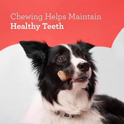 DreamBone Mini Chews, 36 Count, Treat Your Dog to a Rawhide-Free Chew Made with Real Chicken