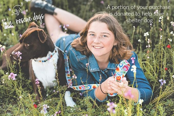 Lucky Love Dog - Adjustable Dog Collar with Easy Click Buckle for Small Ones, Durable, & Comfortable for Male & Female Dogs, Pet Collar for Puppies & Adult Dogs - Ladybird, XS