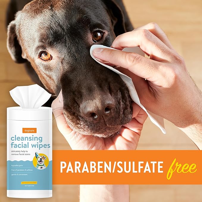 Dogtopia Blueberry Facial Cleansing Wash for Dogs (16oz) and Facial Wipes (60ct) Combo | Gently Remove Tear Stains | Remove Saliva Stains | Brighten and Whiten Coat | Daily Tear Stain Wipes