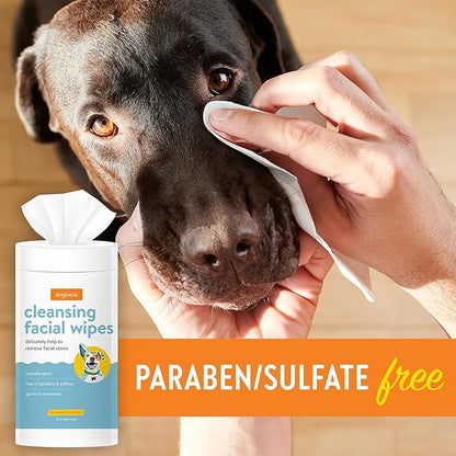 Dogtopia Blueberry Facial Cleansing Wash for Dogs (16oz) and Facial Wipes (60ct) Combo | Gently Remove Tear Stains | Remove Saliva Stains | Brighten and Whiten Coat | Daily Tear Stain Wipes