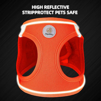 Hipubby Dog Harness and Leash Set, No Pull Soft Mesh Puppy Harness for Small Medium Dogs, Cats - Step in Reflective Breathable Lightweight Vest Harness for Walking, Training - Orange, L