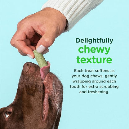 Minties FreshBites Soft and Chewy Dental Treats for Dogs, Low Calorie Natural Mint Flavored Dental Chews for Dogs, 100 Count, Chews Clean Teeth, Fight Bad Breath, and Removes Plaque and Tartar