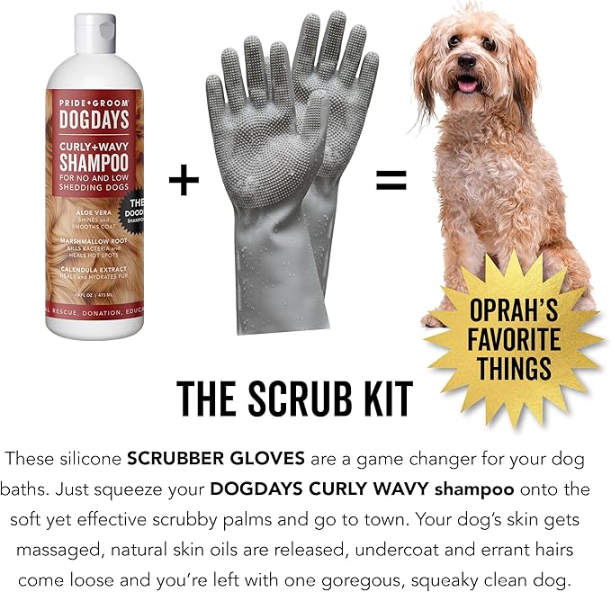 Pride and Groom DogDays Curly + Wavy The Scrub Kit - Natural Dog Shampoo with Silicone Scrubber Gloves for Low or No-Shedding Breeds with Coat Massage, Clean Ingredients, and Gentle Pet Grooming Care