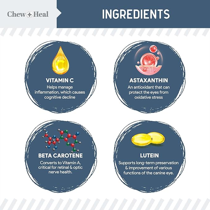 Chew + Heal Labs Senior Dog Vision and Cognition Chews - 120 Soft Chews for Dog Eye Care and Memory - 7-in-1 Multivitamin with Omega Fatty Acids, Vitamins, and Botanicals - Made in The USA