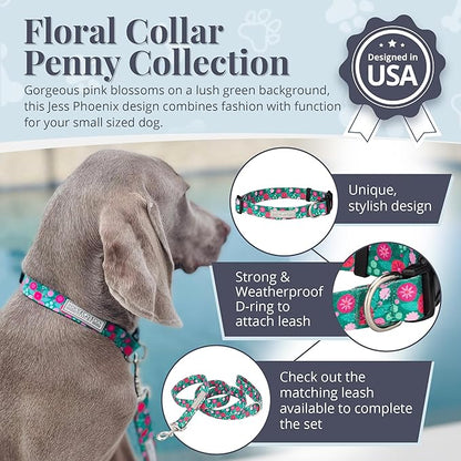 Lucky Love Dog - Adjustable Dog Collar with Easy Click Buckle for Large Dogs, Durable, & Comfortable for Male & Female Dogs, Pet Collar for Puppies & Adult Ones - Penny, Large