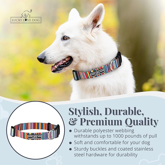 Lucky Love Dog Collars, Rainbow Stripes Pattern Dog Collar for Medium Dogs, Comfortable & Soft Cute Girl or Boy Dog Collar, Hippie, Medium