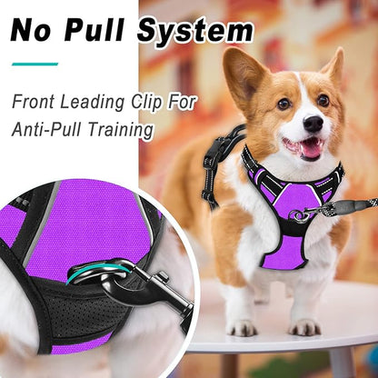 BARKBAY No Pull Dog Harness Large Step in Reflective Dog Harness with Front Clip and Easy Control Handle for Walking Training Running(Purple,M)