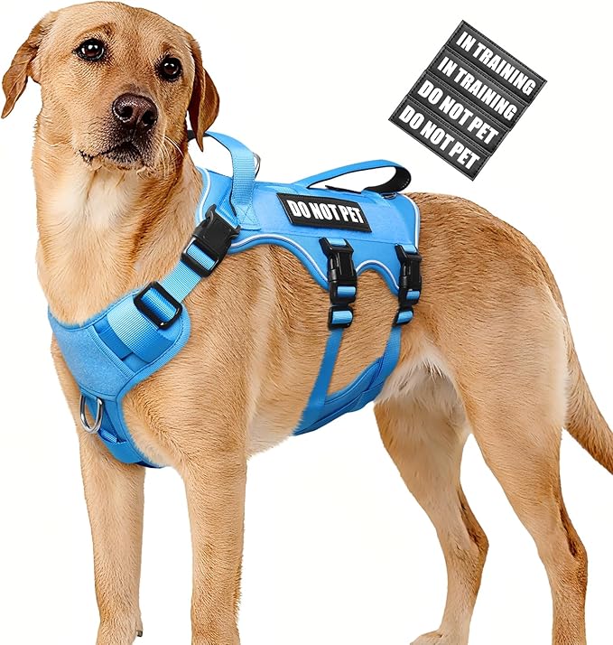 WINSEE Escape Proof Dog Harness, Service Working Molle Harness with Double Handle, Tactical Pet Vest with 4 Patches for Small Medium Large Dogs Walking Hiking Hunting