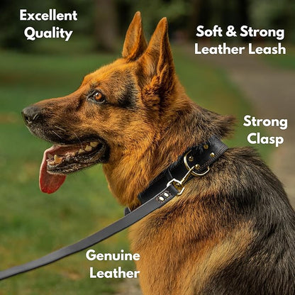 Leather Dog Leash 6 ft x 3/4 inch - Soft, Strong, Heavy Duty for Large & Medium Breeds - Dog Lead for Training (Black - Gold Colored Clasp, L - 6 ft x 3/4 inch)