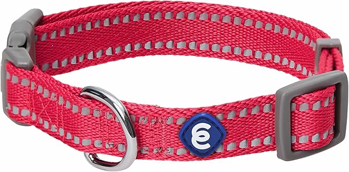 Blueberry Pet Essentials Reflective Dog Collar & Leash Set, Adjustable for Large Dogs | Safe Walking Gear for Pet Parents, Puppy Training & Daily Use LargeDogs, Very Berry