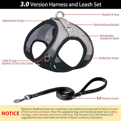AIITLE Dog Harness, No-Pull Cat Harness with a Leash, Adjustable Reflective Dog Vest, Cat Harness Escape Proof, Outdoor Walking, Running,Training for Extra Small Dogs and House Cats Black XXXS
