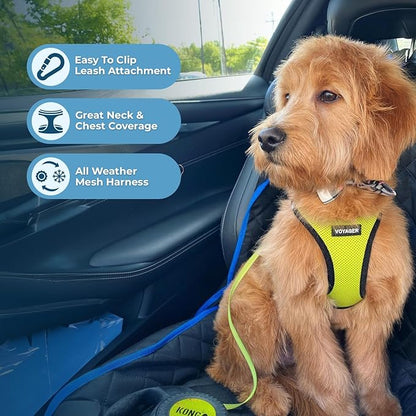 Best Pet Supplies Voyager Step-in Air Harness - All Weather Mesh, Reflective, No Pull Harness for Dogs, Cats - Secure with Hook & Loop Fastener, Buckle, Double D-Rings - Lime Green/Black Trim, XS