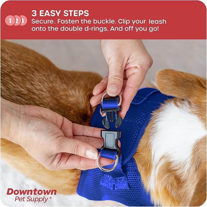 Downtown Pet Supply Step in Dog Harness for Small Dogs No Pull, Large, Blue - Adjustable Harness with Padded Mesh Fabric and Reflective Trim - Buckle Strap Harness for Dogs
