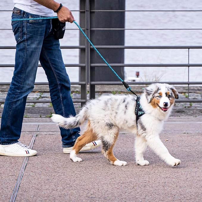 Panykoo 5/6 FT Strong Pet Dog Leash with Soft Padded Handle,Highly Reflective Rope for Night Walking,360-Degree Rotating Metal Buckle Without Tangles,Suitable for Small,Medium and Large Dogs.(5ft)