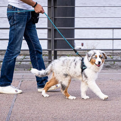 Panykoo 5/6 FT Strong Pet Dog Leash with Soft Padded Handle,Highly Reflective Rope for Night Walking,360-Degree Rotating Metal Buckle Without Tangles,Suitable for Small,Medium and Large Dogs.(5ft)