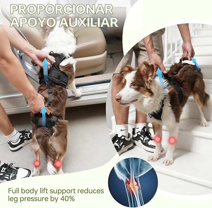 Dog Lift Harness for Male Dogs - 2-in-1 Full Body Support Aid & Sling, Comfortable & Chafe-Free for Post-Surgery Recovery and Elderly Dog Mobility, Hind Leg Assistance, Supports up to 40 Lbs (M)