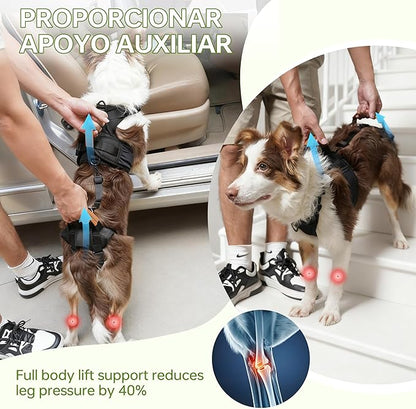 Dog Lift Harness for Male Dogs - 2-in-1 Full Body Support Aid & Sling, Comfortable & Chafe-Free for Post-Surgery Recovery and Elderly Dog Mobility, Hind Leg Assistance, Supports up to 55 Lbs (L)