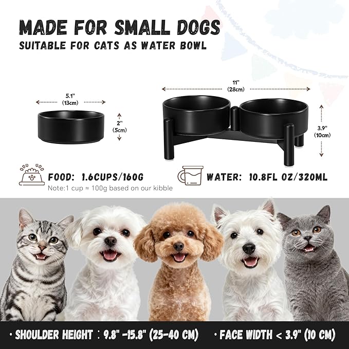 Raised Ceramic Dog Bowl Set - Elevated Double Dishes with Stainless Steel Stand - Food and Water Bowls for Small Dogs and Indoor Cats - Each Holds 1.6 Cups (10.8 fl oz) - Black