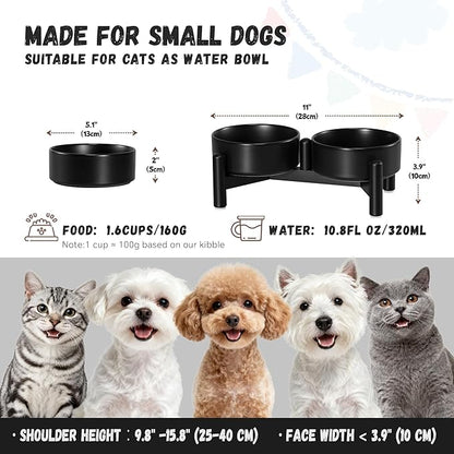 Raised Ceramic Dog Bowl Set - Elevated Double Dishes with Stainless Steel Stand - Food and Water Bowls for Small Dogs and Indoor Cats - Each Holds 1.6 Cups (10.8 fl oz) - Black