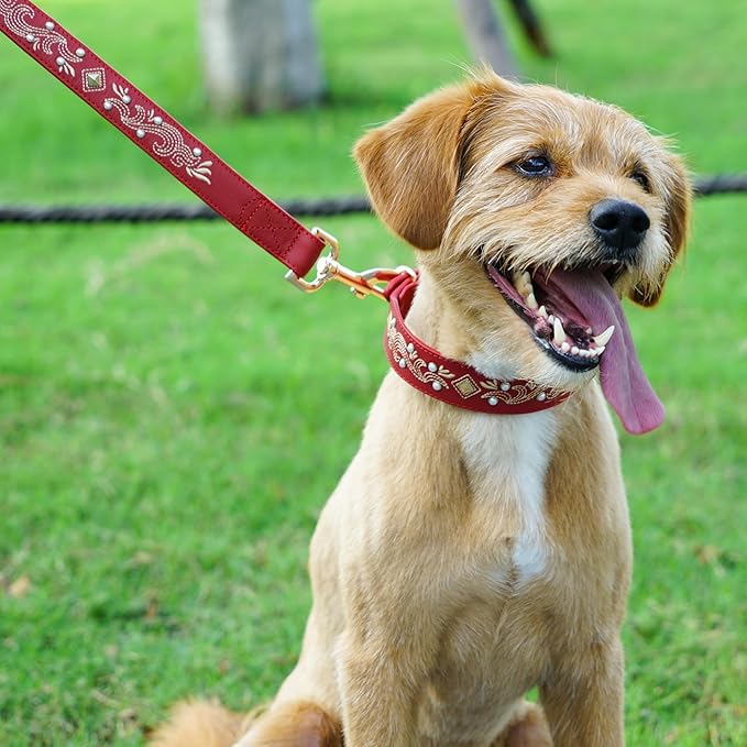 Blueberry Pet Western Leather Dog Collar - Genuine Leather with Floral Embroidery & Pearl Studs Adjustable 12-15 Inch Neck for Small Dogs, Comfortable and Stylish Pet Collar
