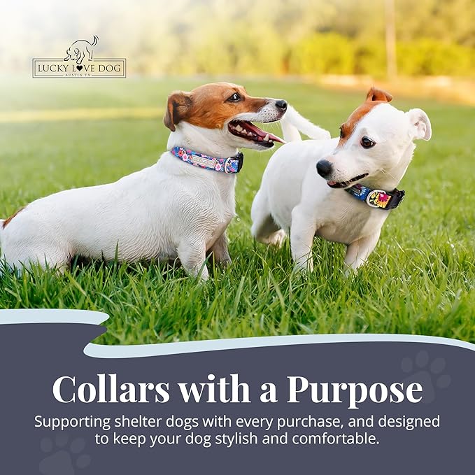 Lucky Love Dog - Adjustable Dog Collar with Easy Click Buckle for Small Dogs, Durable, & Comfortable Collar for Male & Female Dogs, Pet Collar for Puppies & Adult Dogs - Zuzu, Small