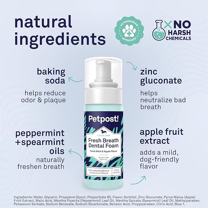 Petpost | Fresh Breath Foam for Dogs - Mint & Apple Flavored Dental Solution That Eliminates Bad Breath - Natural Tooth Cleaning Treatment 5 oz.