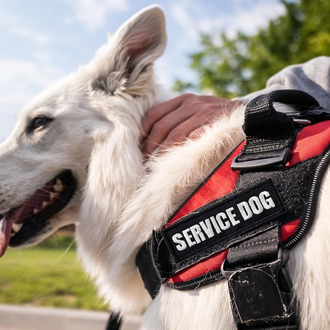TACVEL 2 Pieces Do Not Pet Dog Patches with Hook Backing for Service Animal Vests, Harnesses