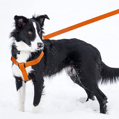No Pull Dog Harness - Adjustable Step-in Harness & Leash Set for Small, Medium, Large Dogs - Escape Proof Soft Pet Harness for Walking, Training, Hiking, Outdoor Activities