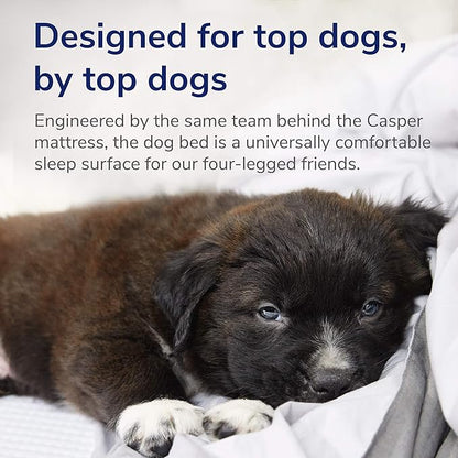 Casper Dog Bed, Plush Memory Foam, Small, Gray, 26.0"L x 19.0"W x 6.0"Th